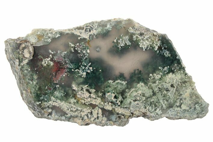 Polished Colorful Moss Agate Slab - Java, Indonesia #271499